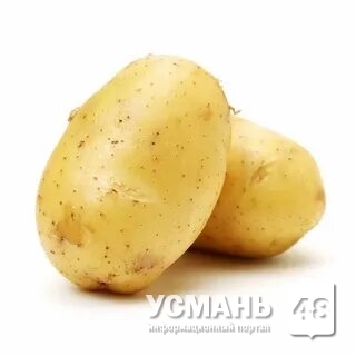 Продается домашний картофель