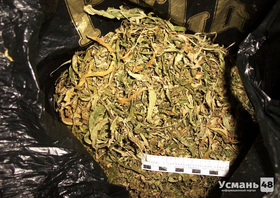 Житель Усманского района получил 3 года условно за килограмм марихуаны