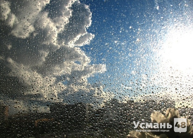 В первый день августа в Липецкой области дождливо