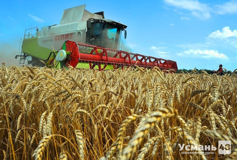 Аграрии Липецкой области намолотили первый миллион тонн зерна