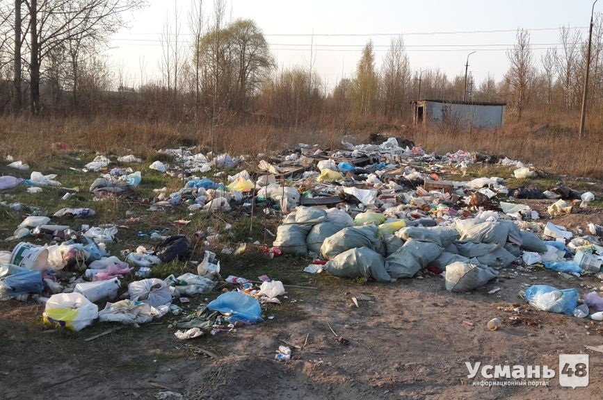 В Усманском районе экологи обнаружили 6 несанкционированных свалок
