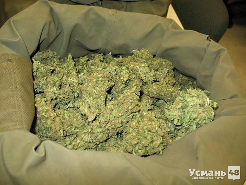 У жительницы Усманского района найдено 2,5 килограмма марихуаны