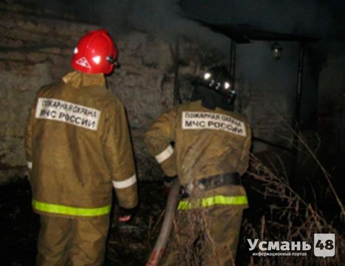 В Усманском районе ночью сгорела надворная постройка
