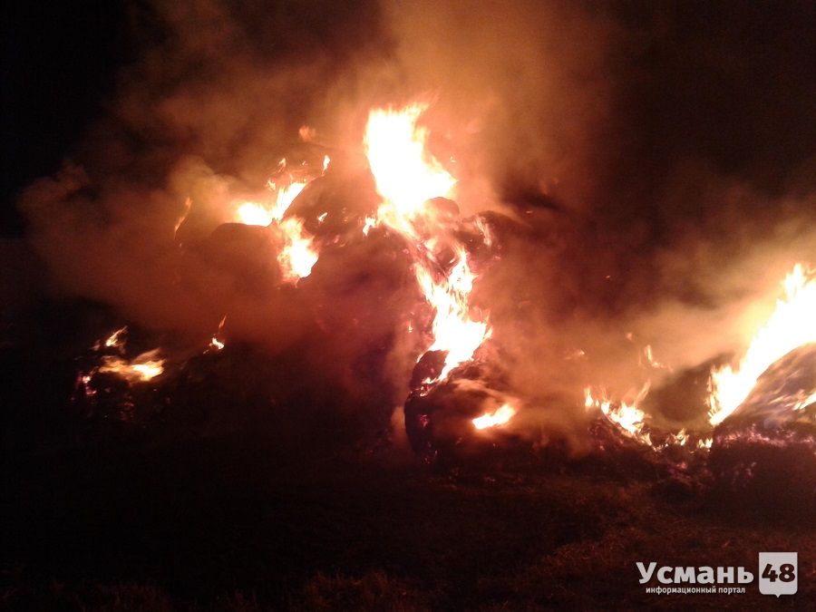 В Усманском районе ночью сгорело 50 тонн сена
