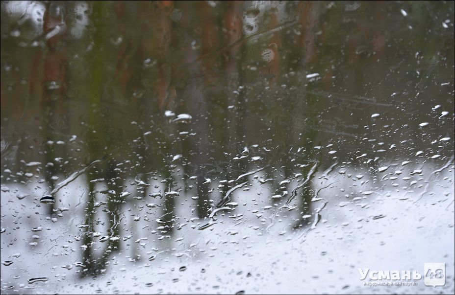 В Липецкой области сухо и морозно, к 23 февраля - мокрый снег и дождь