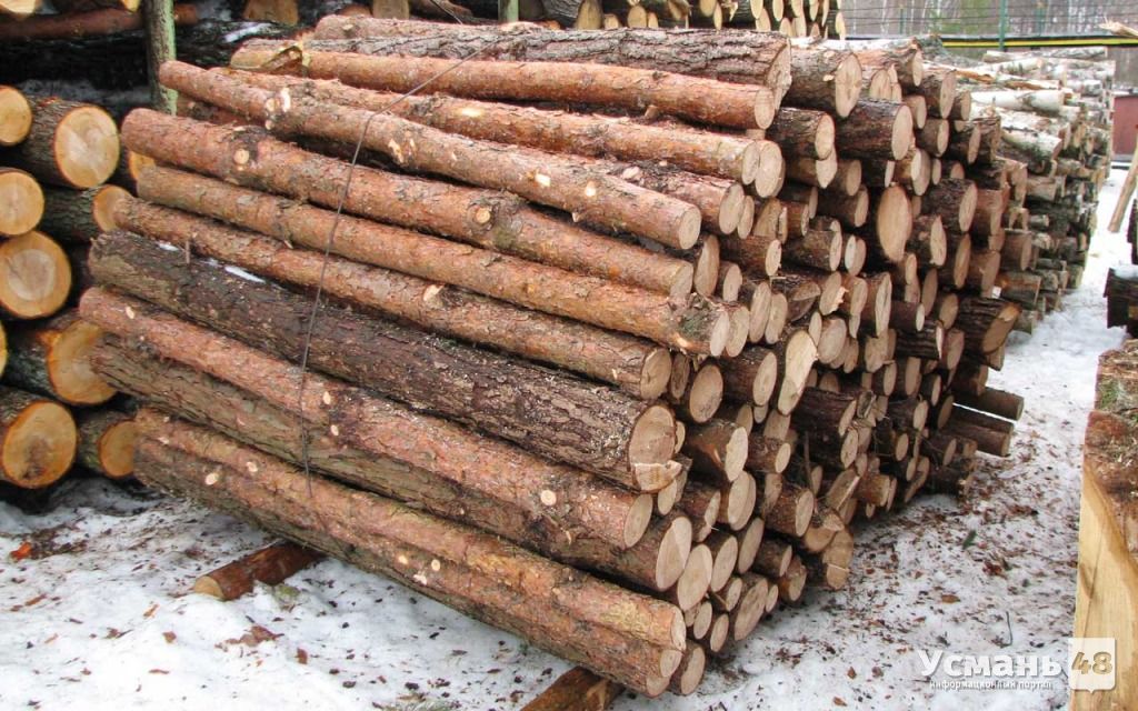 Природоохранная прокуратура отменила аукцион по продаже несуществующей древесины