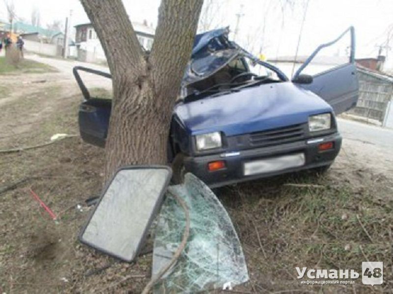 В Усмани 54-летний водитель «Оки» погиб, врезавшись в дерево