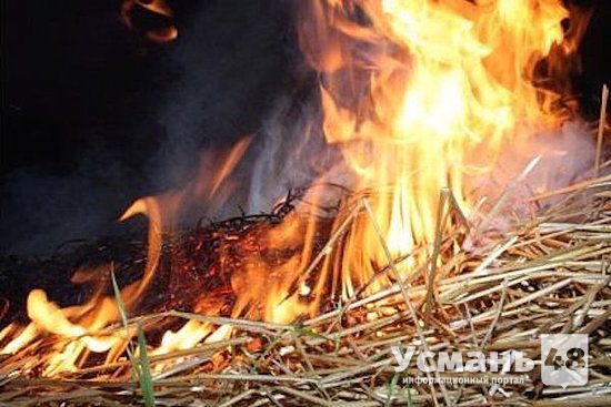 В Усманском районе сгорело хранилище сена.