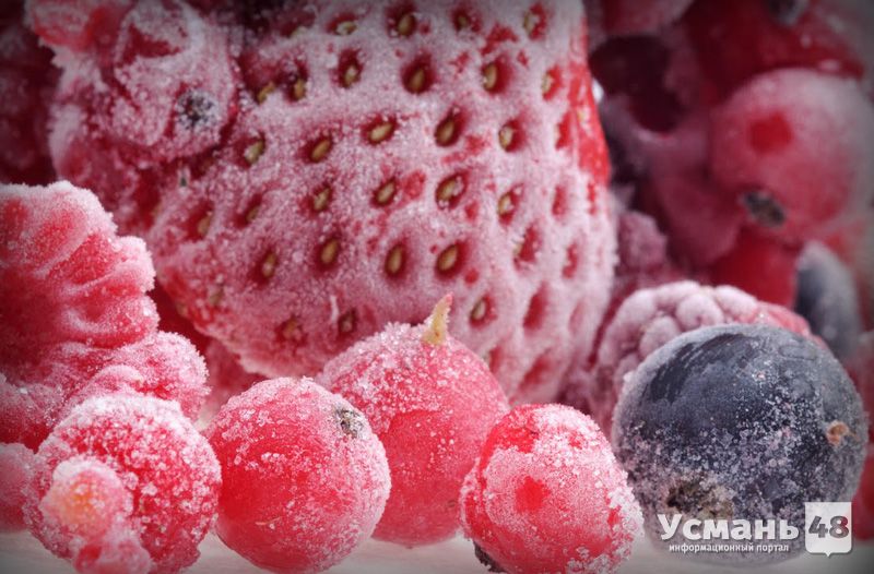 Производство полуфабрикатов из ягод может появиться в Усманском районе