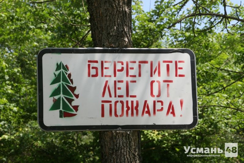 В Липецкой области объявлен высокий класс пожарной опасности в лесах