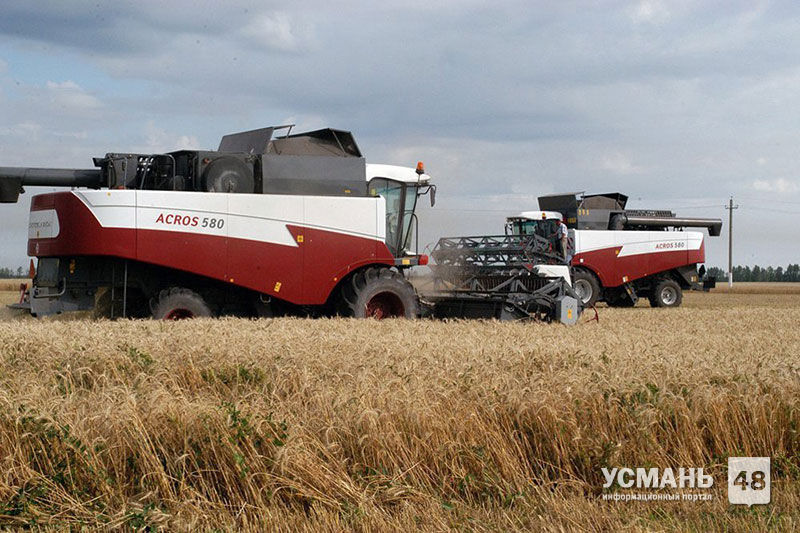 Полтора миллиона тонн зерновых убрано в Липецкой области