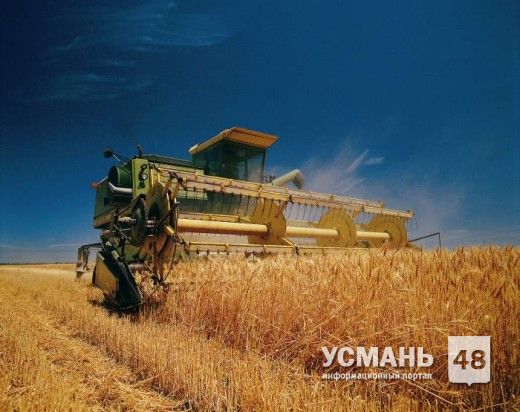 В Усманском районе обмолочено половина посевных площадей зерновых