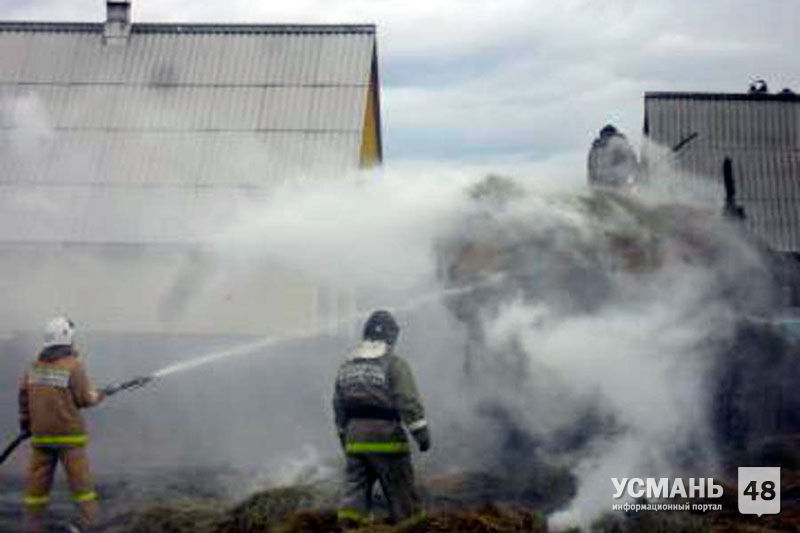 В Усманском районе сгорело 10 тонн сена