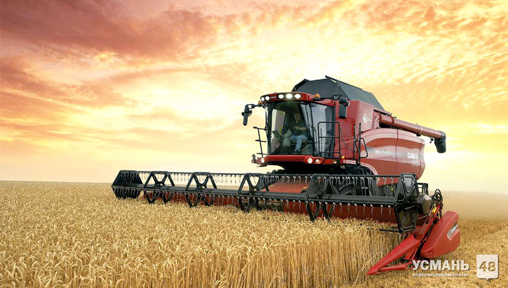 На полях Липецкой области намолочено 2 млн. тонн зерновых