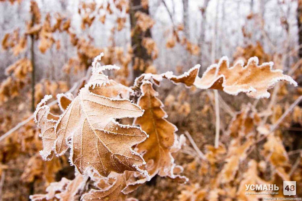 Морозная погода и снег ожидают жителей Липецкой области