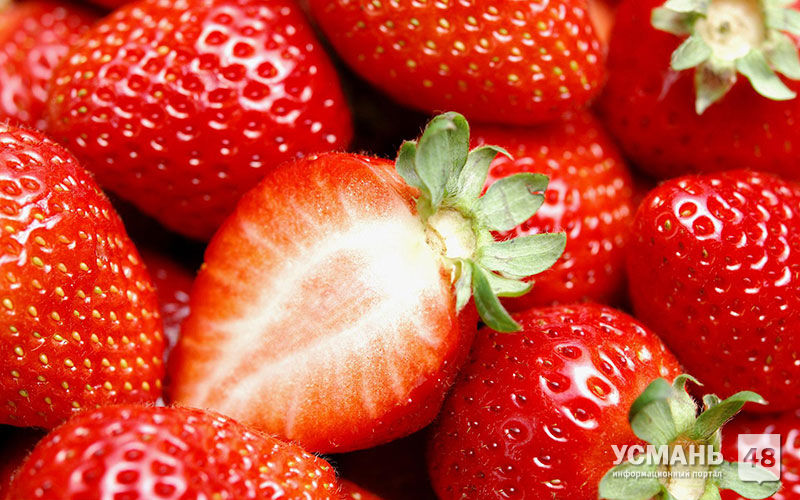 В Усманском районе создали кооператив для загрузки мощностей «Фрагарии» по заморозке ягод