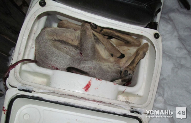В Усманском районе задержан браконьер с убитой косулей