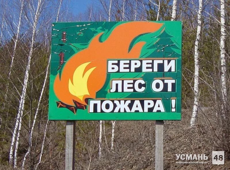 В Липецкой области объявлен пожароопасный сезон