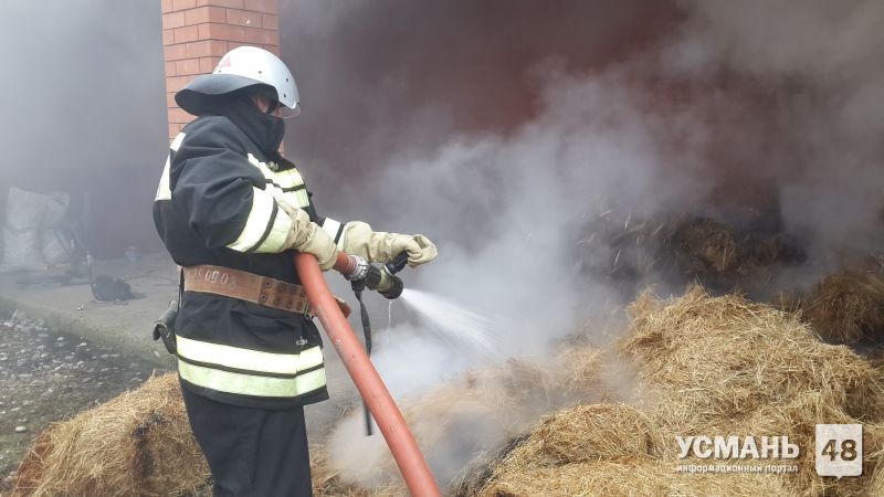 В с. Никольское Усманского района пожар уничтожил 5 тонн сена и сенник