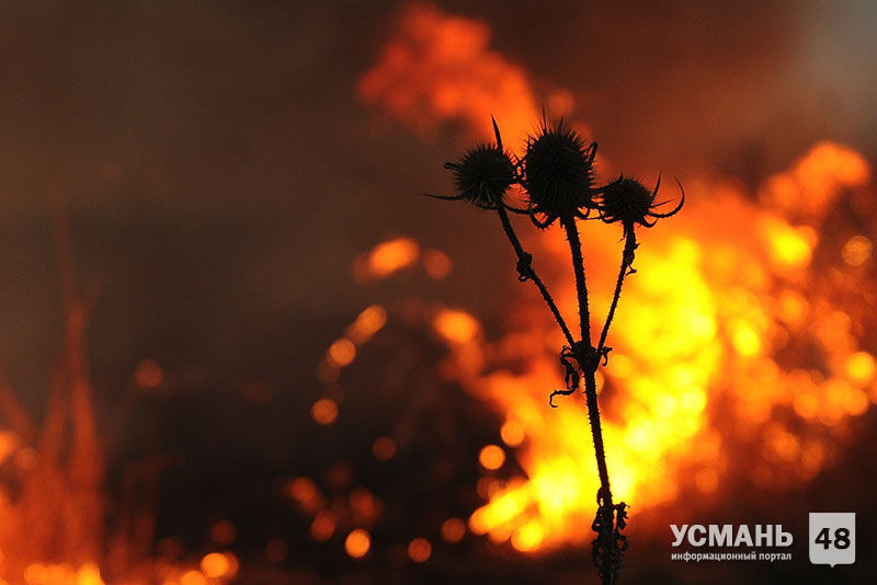 МЧС предупреждает о чрезвычайной пожароопасности в Усманском районе