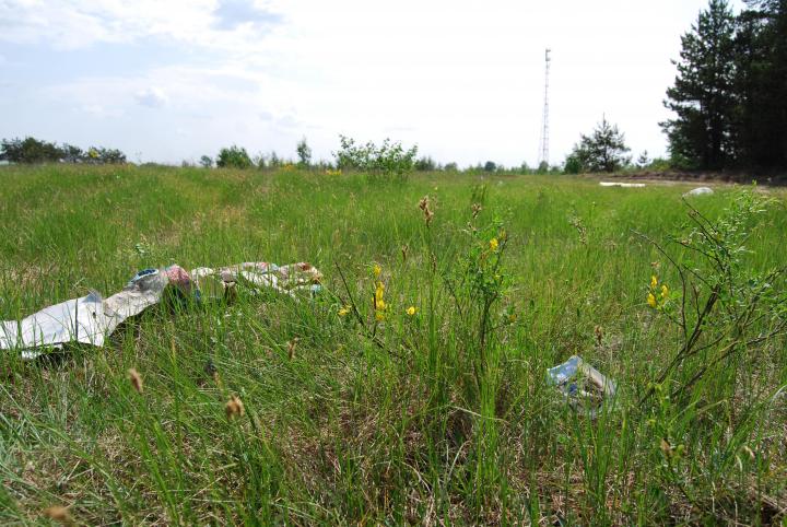 В Усманском районе на земле сельскохозяйственного назначения обнаружена свалка