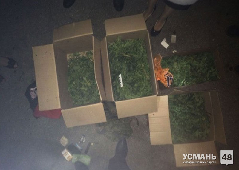 У жителя Усманского района изъяли 1,5 кг наркотика растительного происхождения