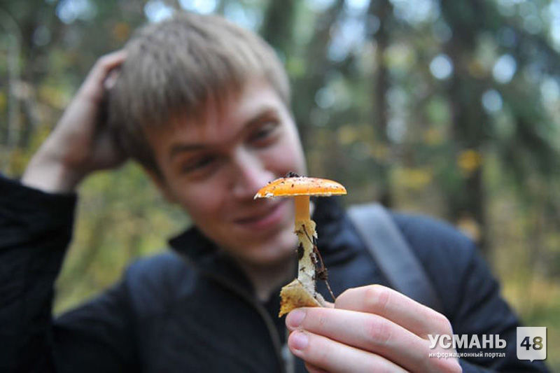 В Липецкой области грибами отравились уже 33 человека