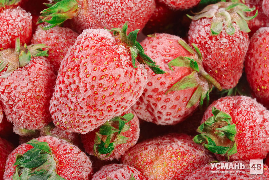 ООО «Фрагария» запустила первую очередь завода по заморозке ягод в Усманском районе