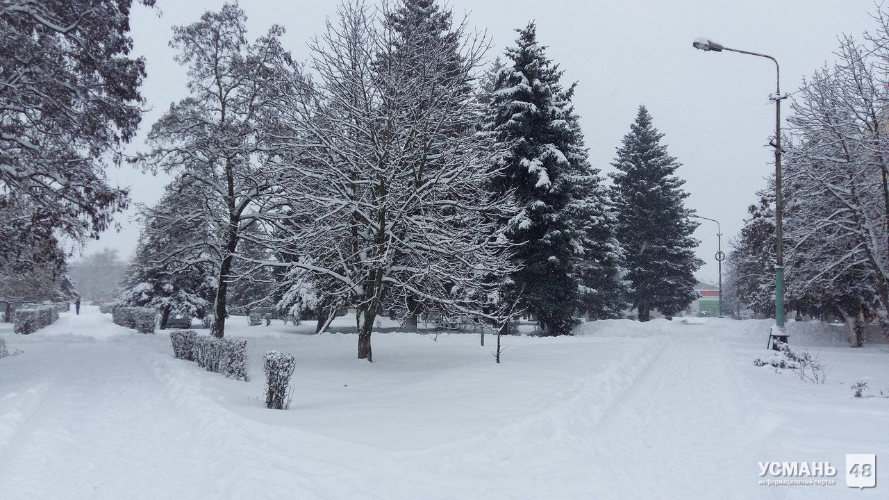 Температура в Липецкой области понизится, снега будет меньше