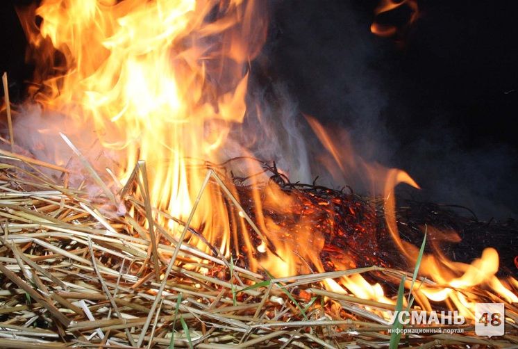 Ночью в Усманском районе сгорели 5 тонн сена