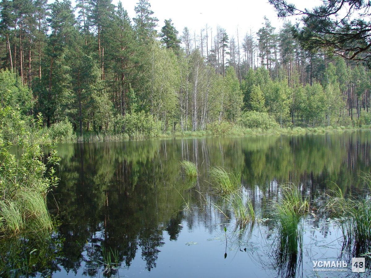 Липецкая область на 50 месте экологического рейтинга