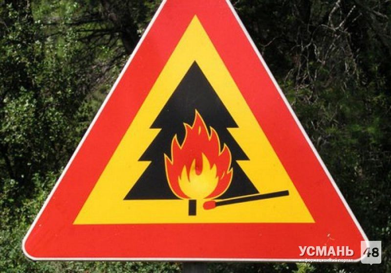 В Липецкой области начал действовать особый противопожарный режим
