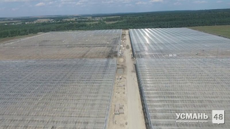 «Овощи Черноземья» построят вторую очередь тепличного комплекса за 3,4 млрд рублей