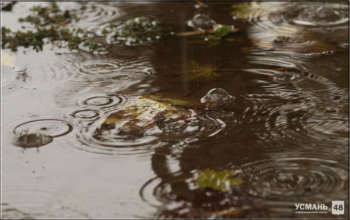 Последняя неделя сентября в Липецкой области начнется с дождей