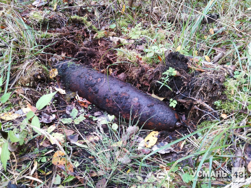 В Усманском районе найден и уничтожен боеприпас времен ВОВ