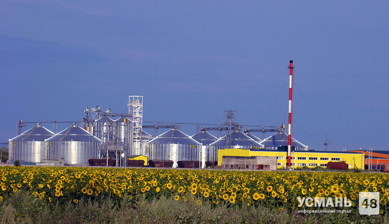 В Липецкой области планируют строить завод по переработке масличных культур