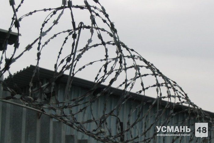 Суд приговорил жителя Усманского района к 9 годам лишения свободы за вовлечение подростка в преступную группу и организацию серии краж
