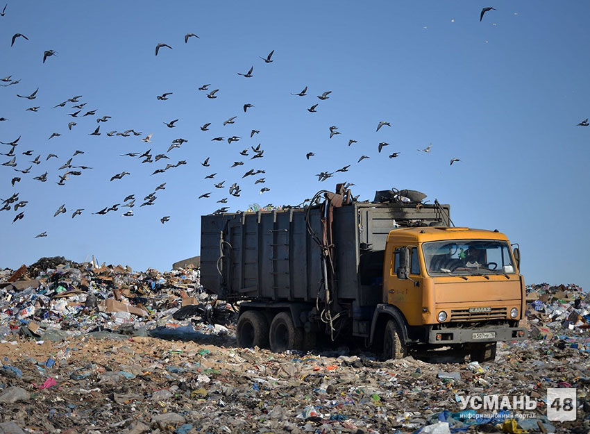 Тарифы на вывоз мусора в 2019 году вырастут дважды