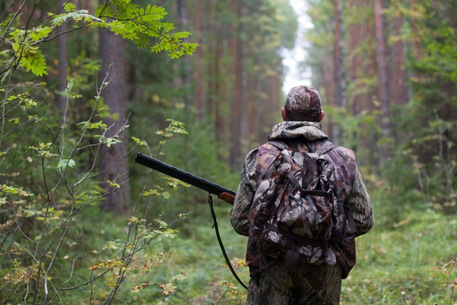 В Воронежском заповеднике на территории Усманского района попался браконьер с ружьём