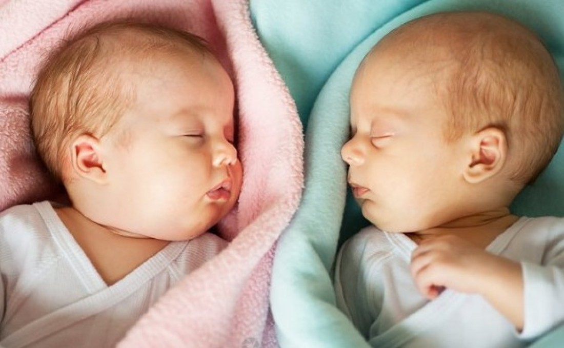 В Липецкой области родилась 81 пара близнецов