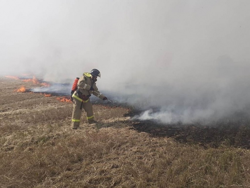 В Усманском районе горело 200 м2 сухой травы