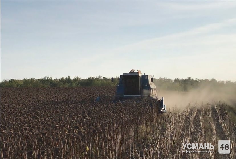 Аграрии Липецкой области собрали рекордный урожай масличных