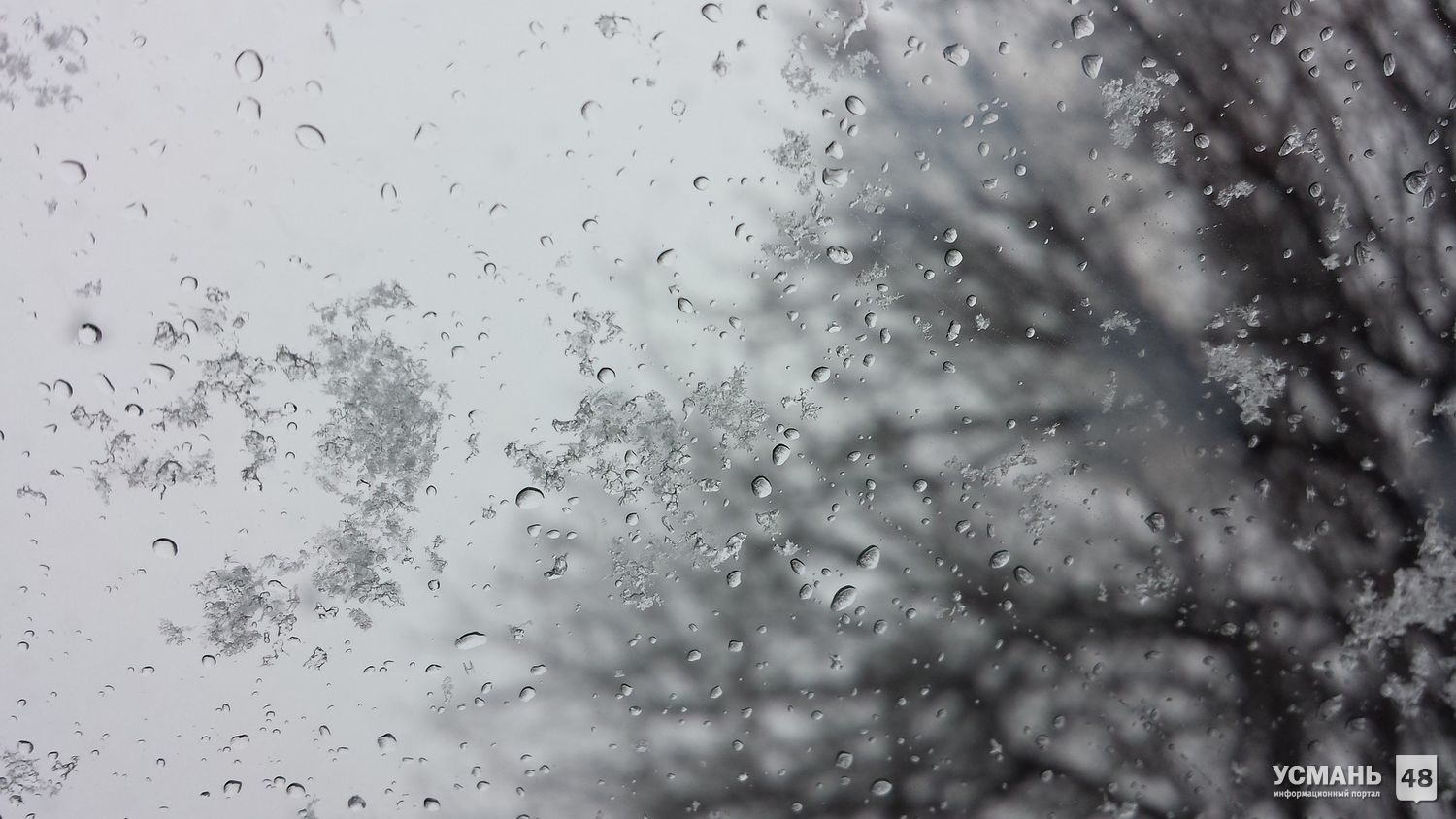 В Липецкой области дождь со снегом и до +5