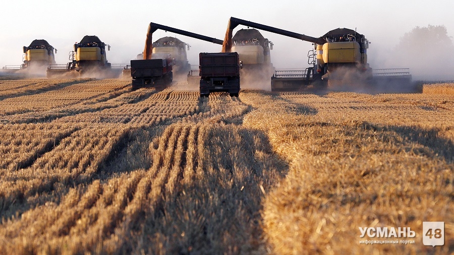 Липецкая область отправила за год на экспорт рекордный объем сельхозпродукции