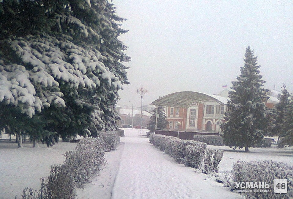 Скандинавский циклон принесет в Липецкую область долгожданный снег