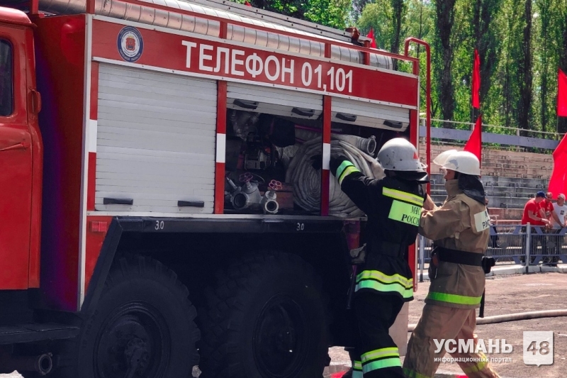 ​​​​​​​В Усманском районе сгорела иномарка Daewoo Nexia