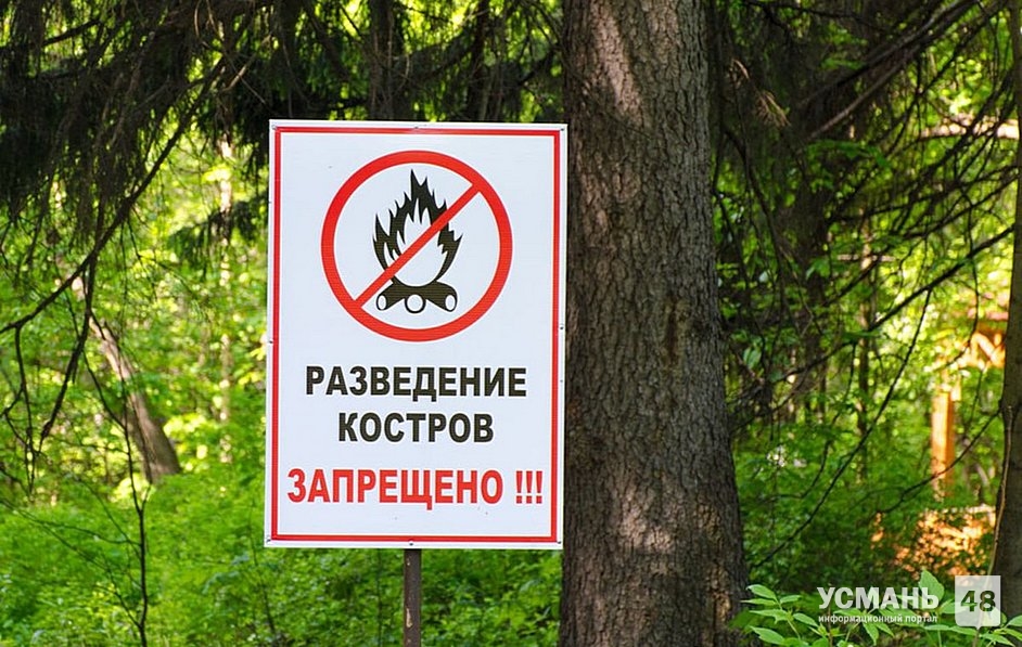 В лесах Липецкой области с 19 июня высокая пожароопасность