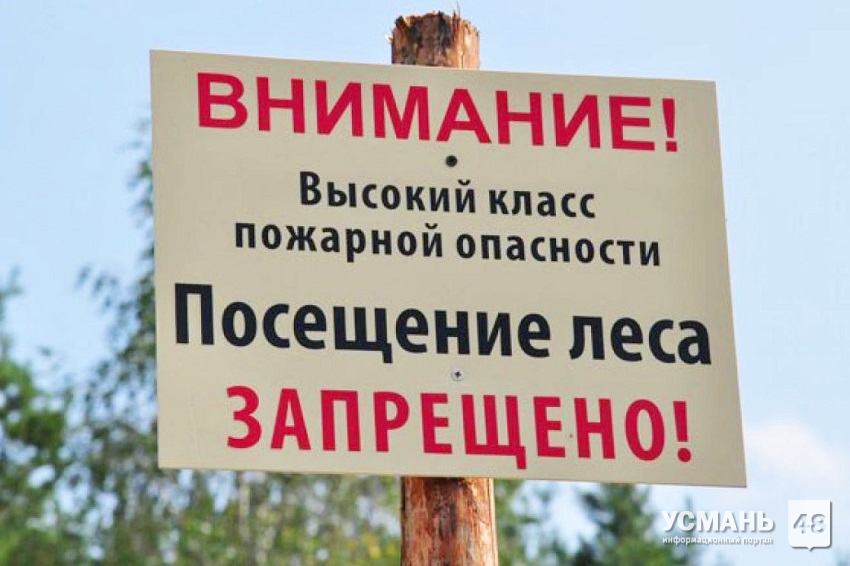 В Липецкой области введено ограничение на посещение лесов до 21 мая