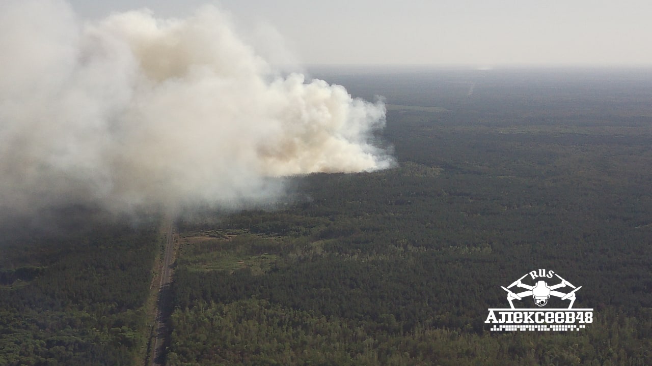 В Усманском районе горел лес. Фото + видео