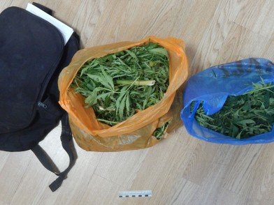 Почти полтора килограмма марихуаны изъяли полицейские в Усманском районе